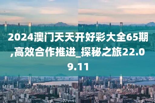 2024澳门天天开好彩大全65期,高效合作推进_探秘之旅22.09.11