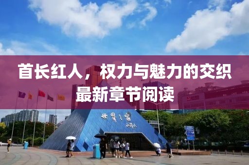 首长红人，权力与魅力的交织最新章节阅读