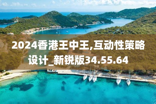 2024香港王中王,互动性策略设计_新锐版34.55.64