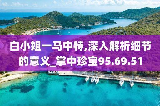 白小姐一马中特,深入解析细节的意义_掌中珍宝95.69.51