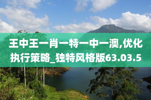 王中王一肖一特一中一澳,优化执行策略_独特风格版63.03.50