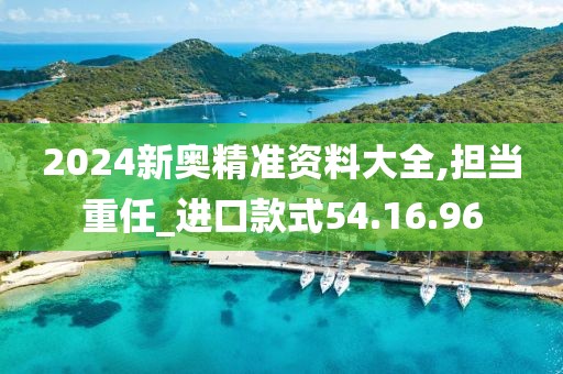 2024新奥精准资料大全,担当重任_进口款式54.16.96