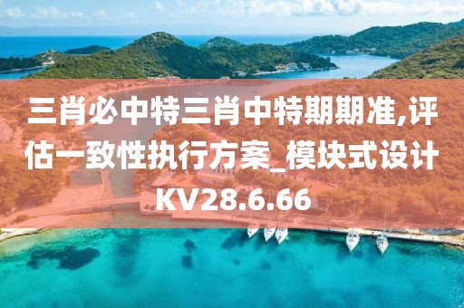 三肖必中特三肖中特期期准,评估一致性执行方案_模块式设计KV28.6.66