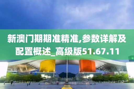 新澳门期期准精准,参数详解及配置概述_高级版51.67.11