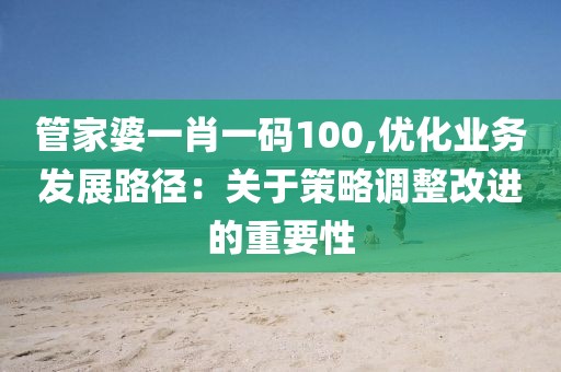 管家婆一肖一码100,优化业务发展路径：关于策略调整改进的重要性