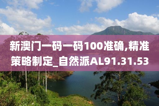 新澳门一码一码100准确,精准策略制定_自然派AL91.31.53