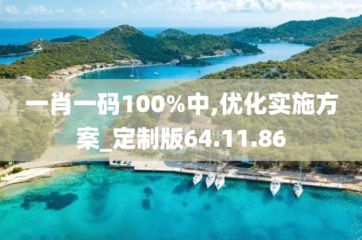 一肖一码100%中,优化实施方案_定制版64.11.86