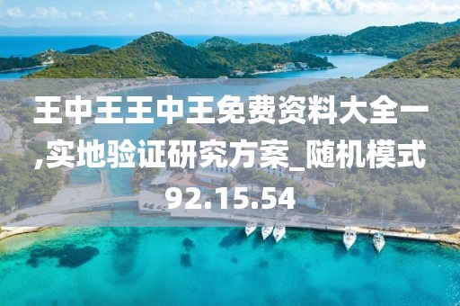 王中王王中王免费资料大全一,实地验证研究方案_随机模式92.15.54