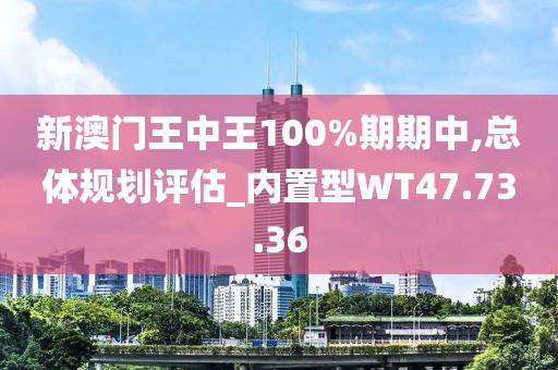 新澳门王中王100%期期中,总体规划评估_内置型WT47.73.36