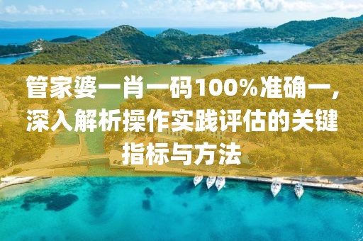 管家婆一肖一码100%准确一,深入解析操作实践评估的关键指标与方法