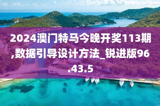 2024澳门特马今晚开奖113期,数据引导设计方法_锐进版96.43.5