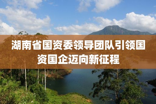 湖南省国资委领导团队引领国资国企迈向新征程