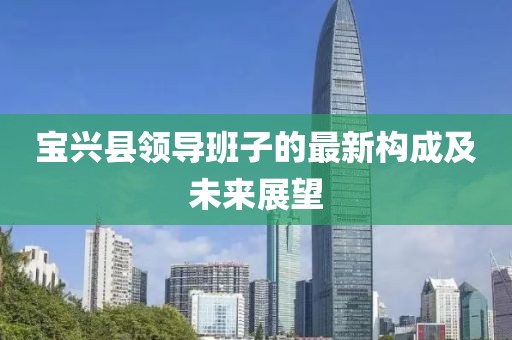 宝兴县领导班子的最新构成及未来展望