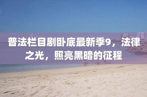 普法栏目剧卧底最新季9，法律之光，照亮黑暗的征程