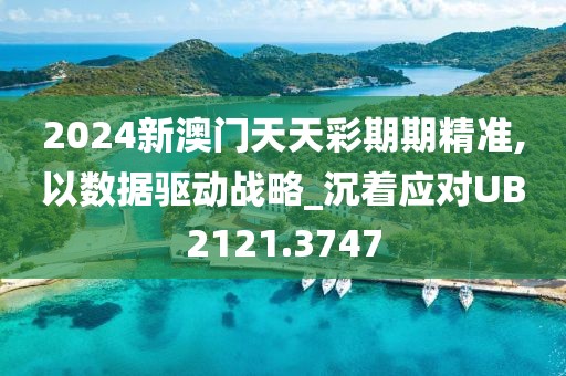 2024新澳门天天彩期期精准,以数据驱动战略_沉着应对UB2121.3747
