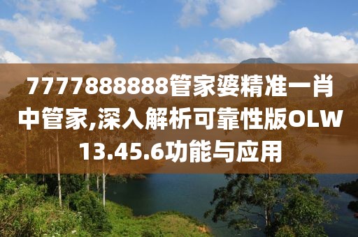 7777888888管家婆精准一肖中管家,深入解析可靠性版OLW13.45.6功能与应用