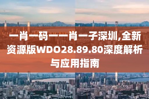 一肖一码一一肖一子深圳,全新资源版WDO28.89.80深度解析与应用指南