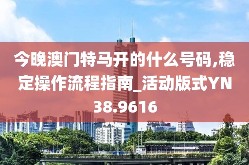 今晚澳门特马开的什么号码,稳定操作流程指南_活动版式YN38.9616
