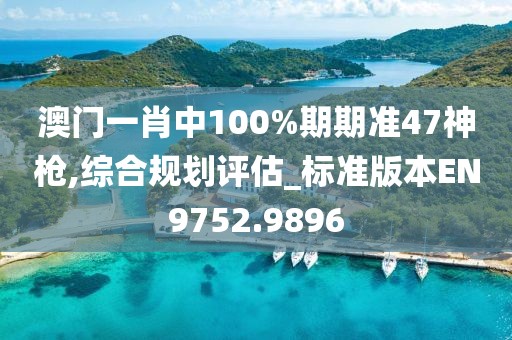 澳门一肖中100%期期准47神枪,综合规划评估_标准版本EN9752.9896