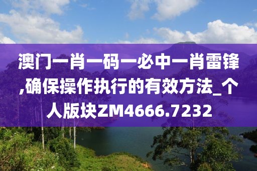 澳门一肖一码一必中一肖雷锋,确保操作执行的有效方法_个人版块ZM4666.7232