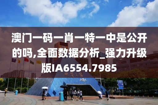澳门一码一肖一特一中是公开的吗,全面数据分析_强力升级版IA6554.7985