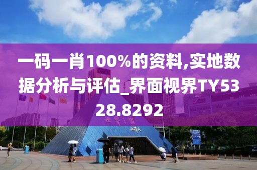 一码一肖100%的资料,实地数据分析与评估_界面视界TY5328.8292