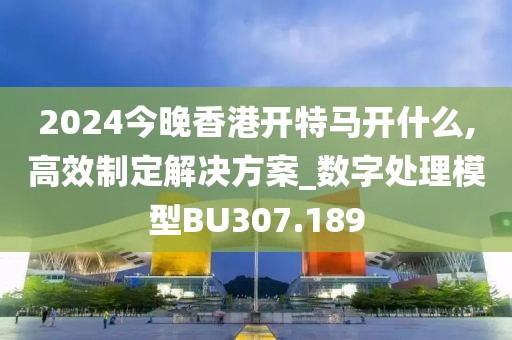 2024今晚香港开特马开什么,高效制定解决方案_数字处理模型BU307.189