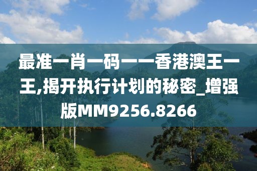 最准一肖一码一一香港澳王一王,揭开执行计划的秘密_增强版MM9256.8266