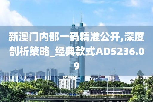 新澳门内部一码精准公开,深度剖析策略_经典款式AD5236.09