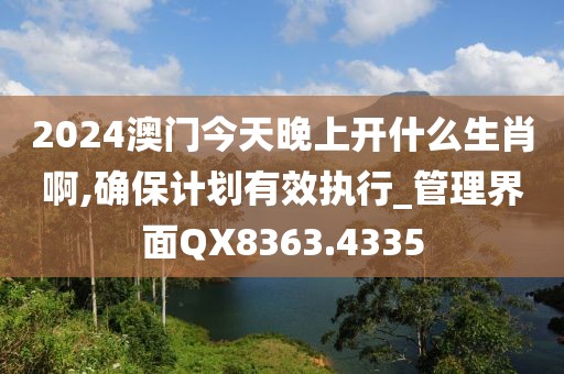 2024澳门今天晚上开什么生肖啊,确保计划有效执行_管理界面QX8363.4335