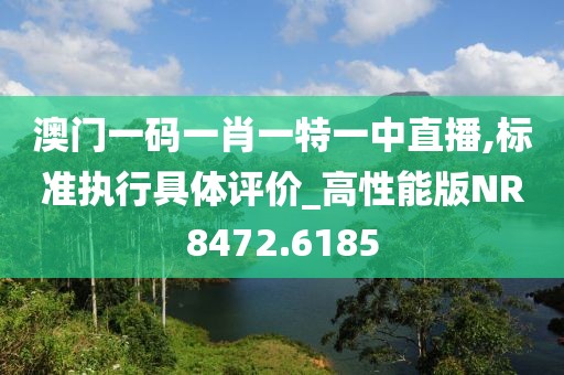 澳门一码一肖一特一中直播,标准执行具体评价_高性能版NR8472.6185