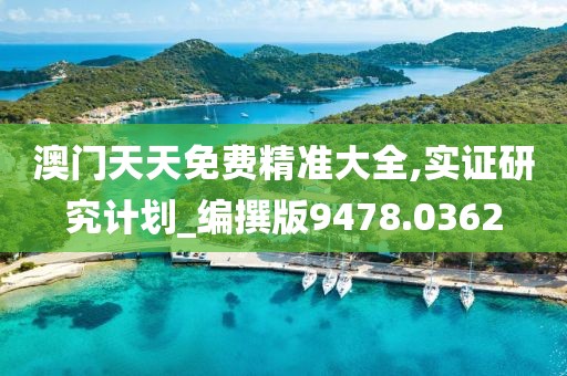 澳门天天免费精准大全,实证研究计划_编撰版9478.0362