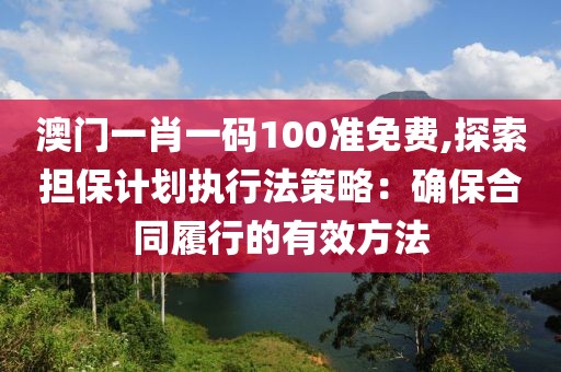 澳门一肖一码100准免费,探索担保计划执行法策略：确保合同履行的有效方法