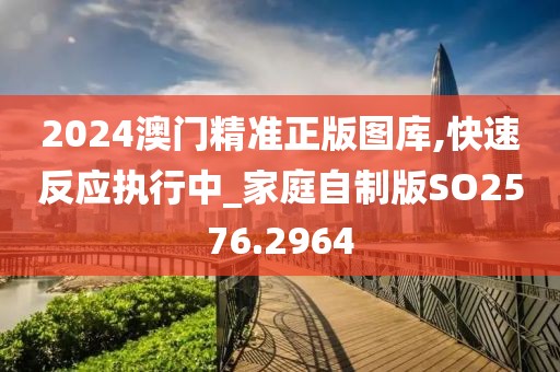 2024澳门精准正版图库,快速反应执行中_家庭自制版SO2576.2964