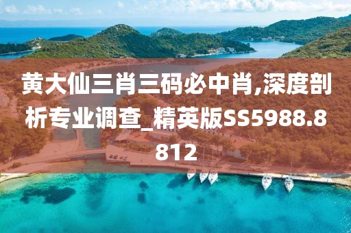 黄大仙三肖三码必中肖,深度剖析专业调查_精英版SS5988.8812