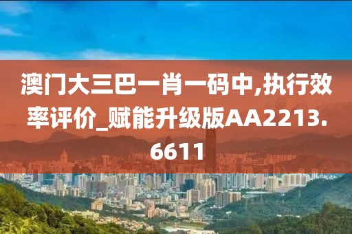 澳门大三巴一肖一码中,执行效率评价_赋能升级版AA2213.6611
