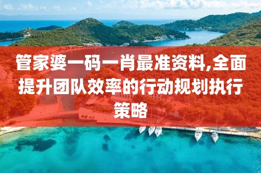 管家婆一码一肖最准资料,全面提升团队效率的行动规划执行策略