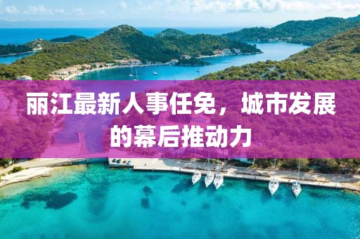 丽江最新人事任免，城市发展的幕后推动力