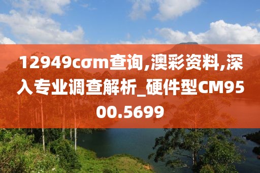 12949cσm查询,澳彩资料,深入专业调查解析_硬件型CM9500.5699