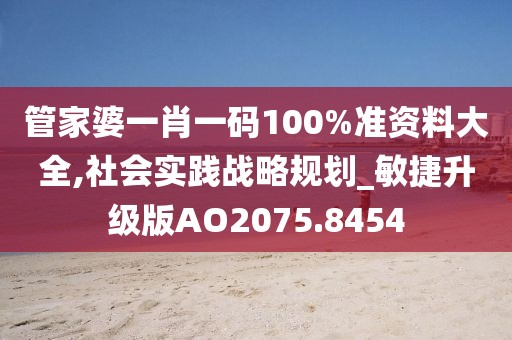 管家婆一肖一码100%准资料大全,社会实践战略规划_敏捷升级版AO2075.8454
