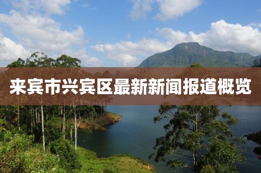 来宾市兴宾区最新新闻报道概览