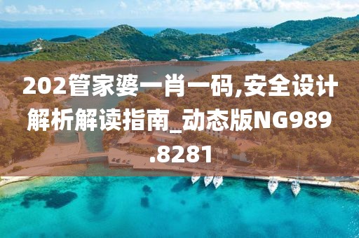 202管家婆一肖一码,安全设计解析解读指南_动态版NG989.8281