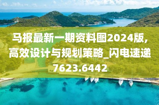 马报最新一期资料图2024版,高效设计与规划策略_闪电速递7623.6442