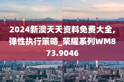 2024新澳天天资料免费大全,弹性执行策略_荣耀系列WM873.9046