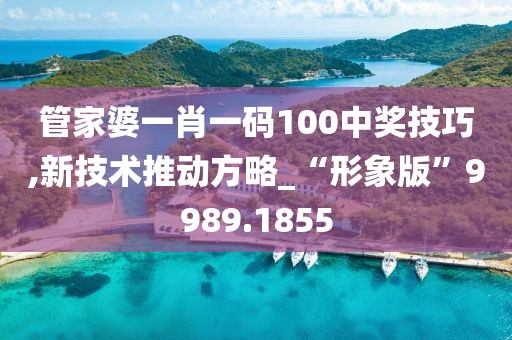 管家婆一肖一码100中奖技巧,新技术推动方略_“形象版”9989.1855
