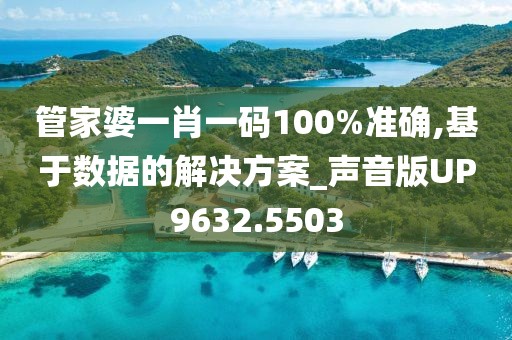 管家婆一肖一码100%准确,基于数据的解决方案_声音版UP9632.5503