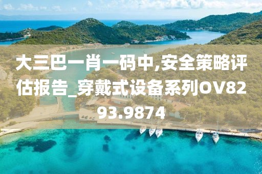大三巴一肖一码中,安全策略评估报告_穿戴式设备系列OV8293.9874