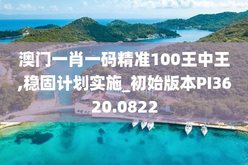 澳门一肖一码精准100王中王,稳固计划实施_初始版本PI3620.0822