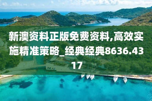 新澳资料正版免费资料,高效实施精准策略_经典经典8636.4317