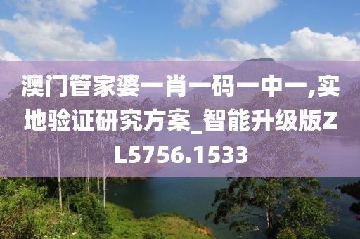 澳门管家婆一肖一码一中一,实地验证研究方案_智能升级版ZL5756.1533